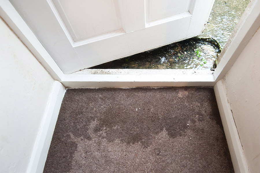 water damage on carpet near open door dickson tn